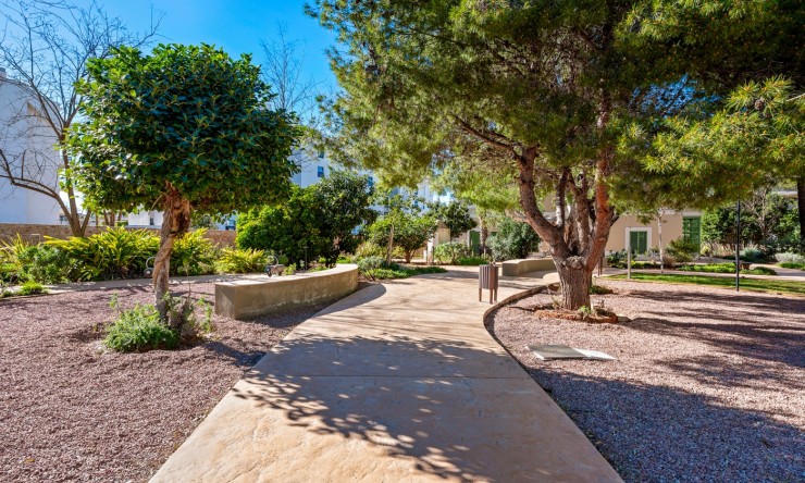 Re-Sale - Apartment - Denia - Denia - Town