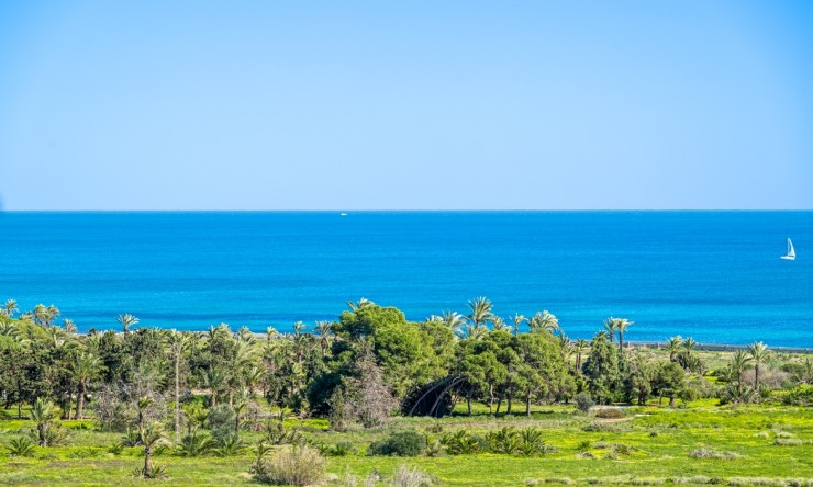 Re-Sale - Apartment - Torrevieja - Rocio del Mar