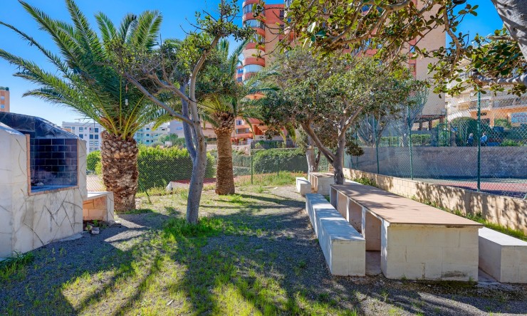 Re-Sale - Apartment - Arenales del Sol - Arenales del Sol - Town
