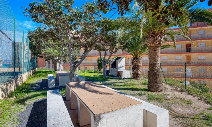 Re-Sale - Apartment - Arenales del Sol - Arenales del Sol - Town