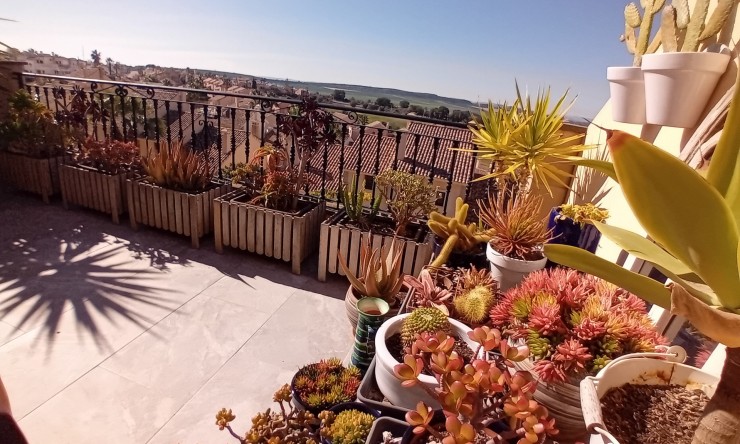 Re-Sale - Townhouse - Algorfa - La Finca Golf Resort