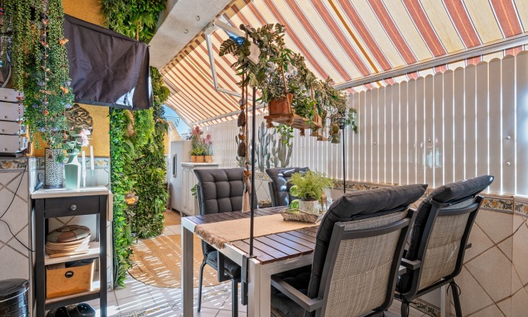 Re-Sale - Apartment - Torrevieja - Torrevieja - Centre