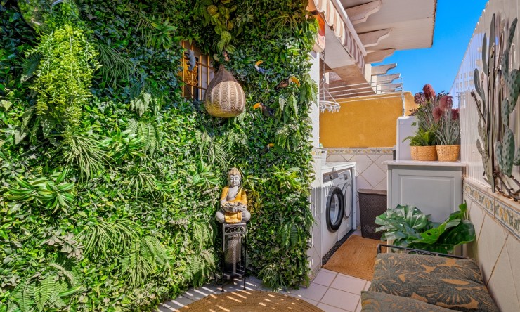 Re-Sale - Apartment - Torrevieja - Torrevieja - Centre