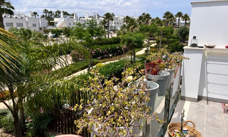 Re-Sale - Apartment - Los Montesinos - Entre Naranjos / Vistabella Golf