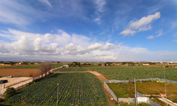 Wederverkoop - Duplex - Daya Vieja - Daya Vieja - Stad