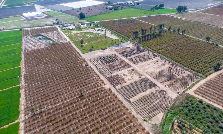 Re-Sale - Country Property - Albatera - Albatera - Country