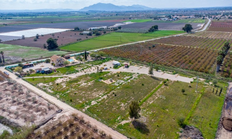 Re-Sale - Country Property - Albatera - Albatera - Country