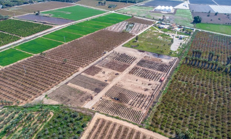 Re-Sale - Country Property - Albatera - Albatera - Country