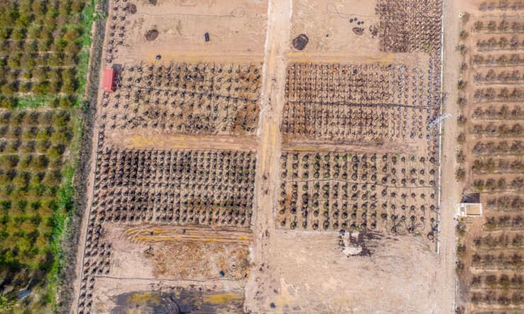 Re-Sale - Country Property - Albatera - Albatera - Country