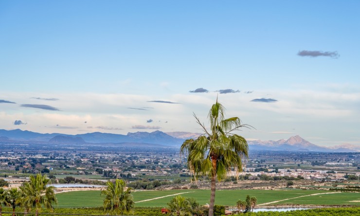 Re-Sale - Detached Villa - Algorfa - Lomas de La Juliana