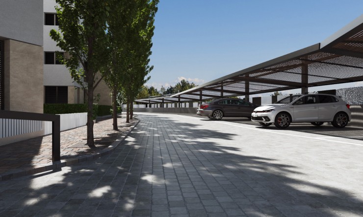 New - Apartment - Torre Pacheco - Torre Pacheco - Town