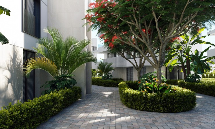 New - Apartment - Torre Pacheco - Torre Pacheco - Town