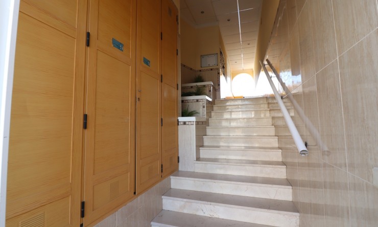 Rental - Apartment - Benijofar - Benijofar - Village