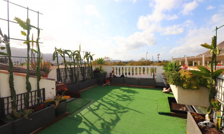 Wederverkoop - Herenhuis - Redovan - Redovan - Stad