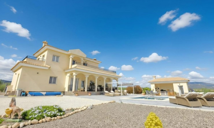 Wederverkoop - Landgoed - Pinoso - Pinoso - Veld