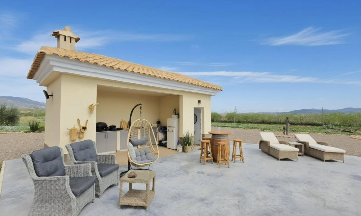 Wederverkoop - Landgoed - Pinoso - Pinoso - Veld