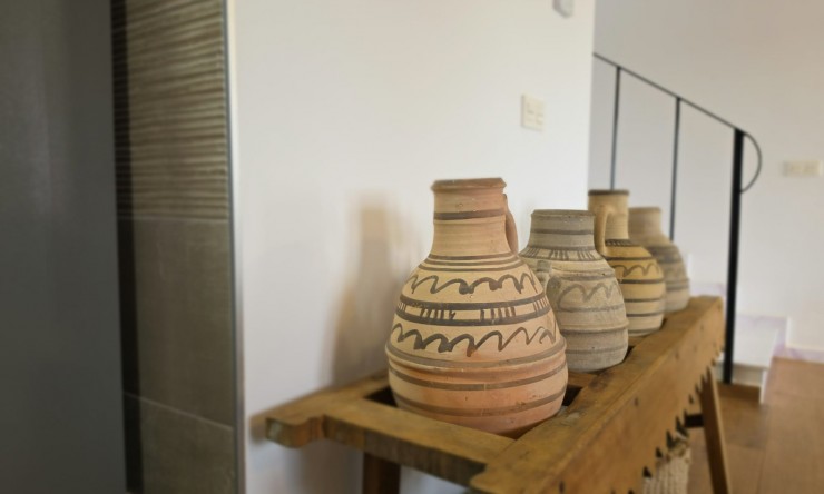 Wederverkoop - Landgoed - Pinoso - Pinoso - Veld