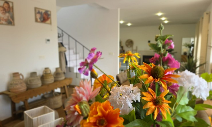 Wederverkoop - Landgoed - Pinoso - Pinoso - Veld