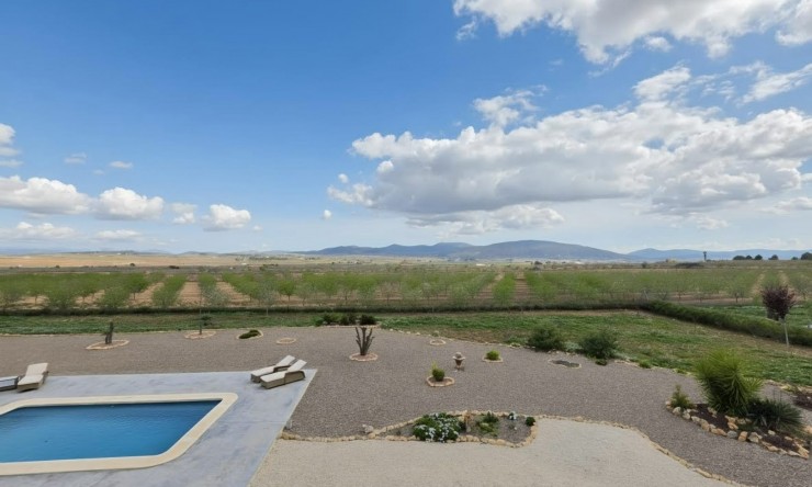 Wederverkoop - Landgoed - Pinoso - Pinoso - Veld