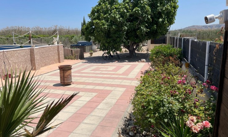 La Revente - Villa - Villena - Rural location
