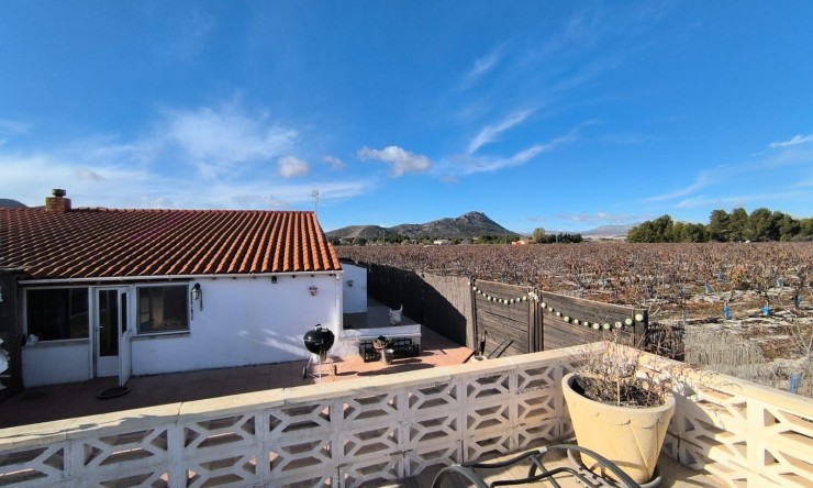 La Revente - Villa - Villena - Rural location