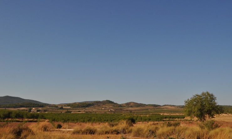 La Revente - Maison de Campagne - Pinoso - Pinoso - Ville
