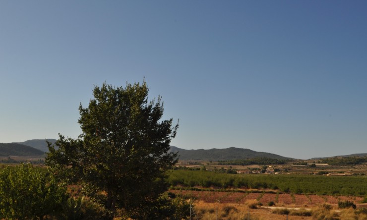 La Revente - Maison de Campagne - Pinoso - Pinoso - Ville