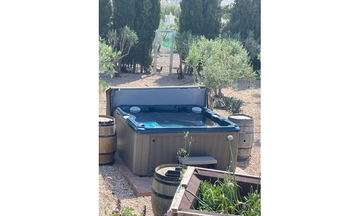 Videresalg - Frittliggende Villa - Villena - Rural location