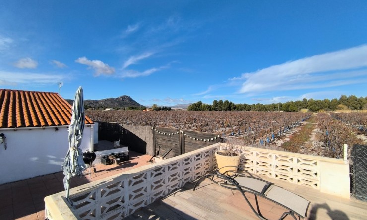 Videresalg - Frittliggende Villa - Villena - Rural location