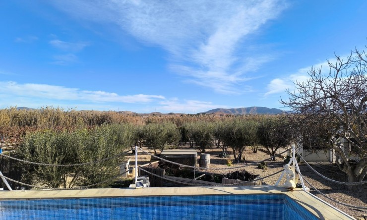 Videresalg - Frittliggende Villa - Villena - Rural location