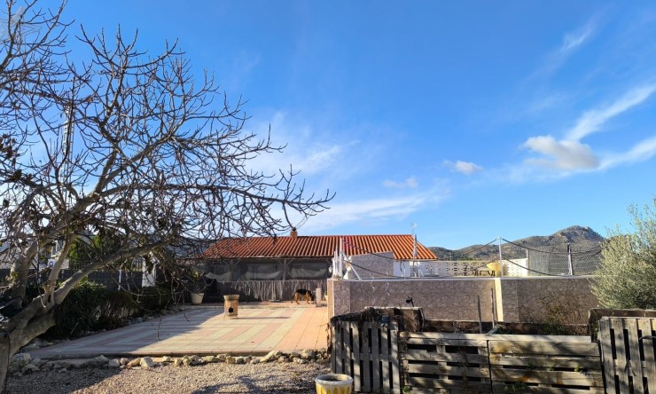 Videresalg - Frittliggende Villa - Villena - Rural location