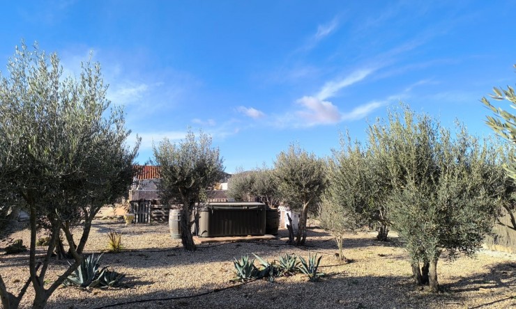 Videresalg - Frittliggende Villa - Villena - Rural location