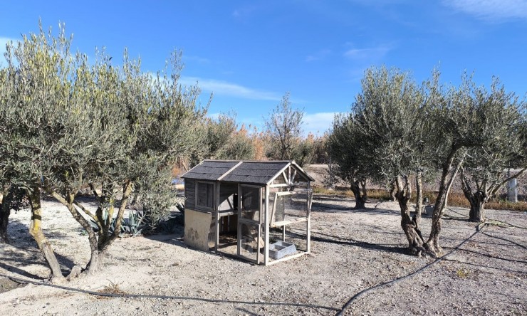 Videresalg - Frittliggende Villa - Villena - Rural location