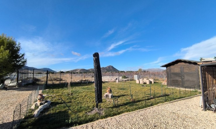 Videresalg - Frittliggende Villa - Villena - Rural location