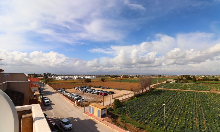 Wederverkoop - Duplex - Daya Vieja - Daya Vieja - Stad