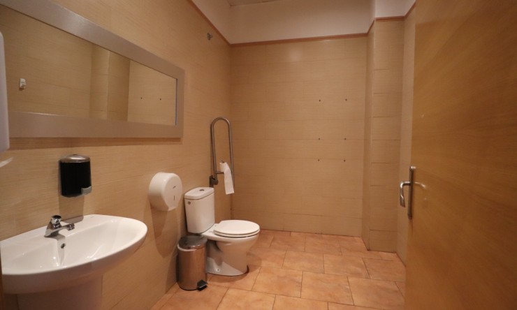 Comercial - Comercial (Pleno Dominio) - Ciudad Quesada - Ciudad Quesada - Pueblo