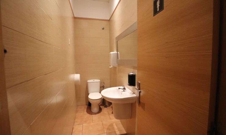 Comercial - Comercial (Pleno Dominio) - Ciudad Quesada - Ciudad Quesada - Pueblo