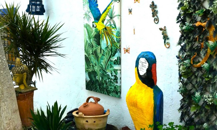 Wederverkoop - Landgoed - Daya Nueva - Daya Nueva - Veld