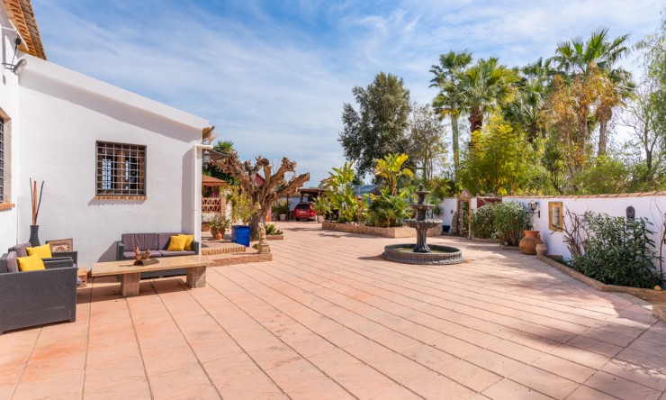 Wederverkoop - Landgoed - Daya Nueva - Daya Nueva - Veld