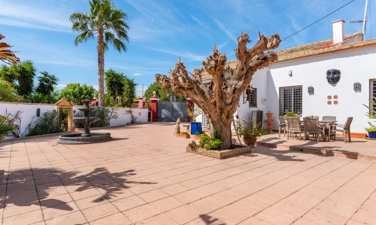 Wederverkoop - Landgoed - Daya Nueva - Daya Nueva - Veld