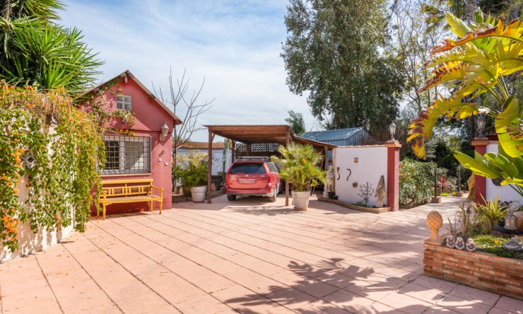 Wederverkoop - Landgoed - Daya Nueva - Daya Nueva - Veld