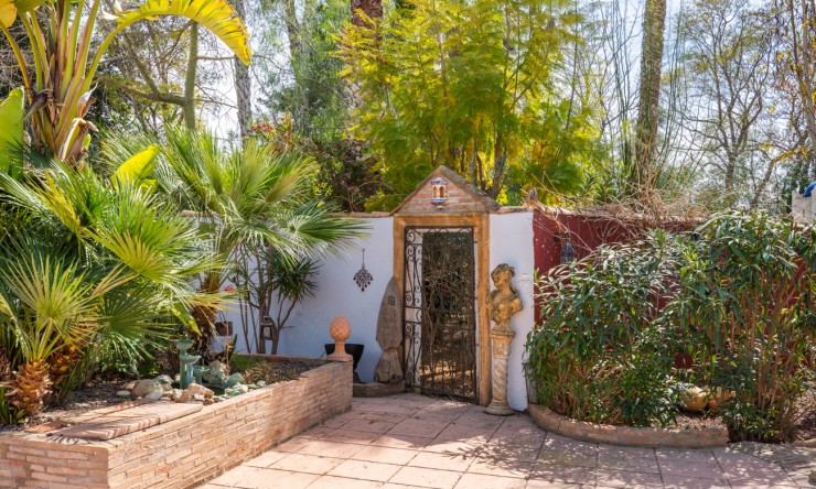 Wederverkoop - Landgoed - Daya Nueva - Daya Nueva - Veld