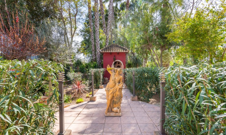 Wederverkoop - Landgoed - Daya Nueva - Daya Nueva - Veld