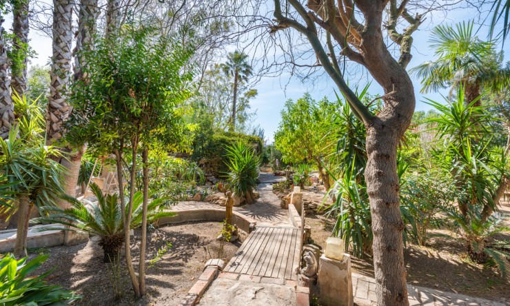 Wederverkoop - Landgoed - Daya Nueva - Daya Nueva - Veld