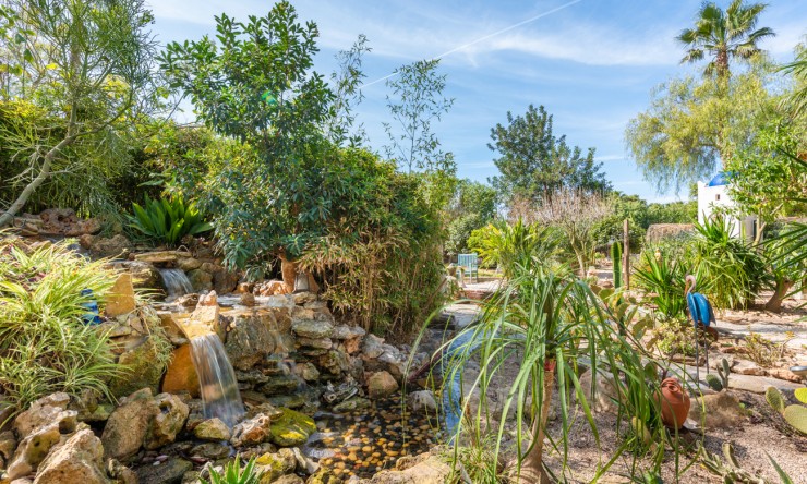 Wederverkoop - Landgoed - Daya Nueva - Daya Nueva - Veld