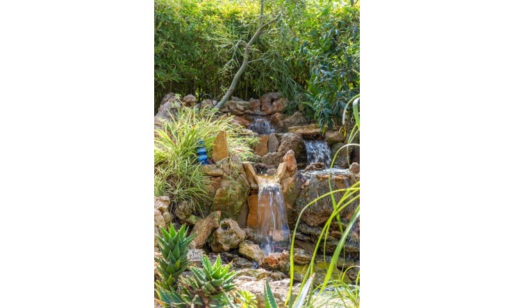 Wederverkoop - Landgoed - Daya Nueva - Daya Nueva - Veld