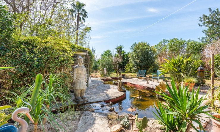 Wederverkoop - Landgoed - Daya Nueva - Daya Nueva - Veld