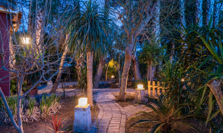 Wederverkoop - Landgoed - Daya Nueva - Daya Nueva - Veld