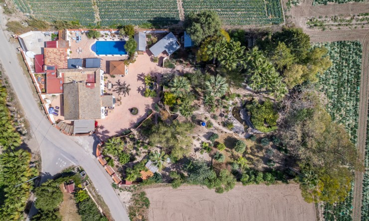 Wederverkoop - Landgoed - Daya Nueva - Daya Nueva - Veld