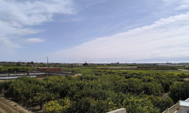 Videresalg - Frittliggende Villa - Guardamar del Segura - El Raso